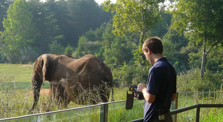 Staff researching at elephant habitat with elephant in the background