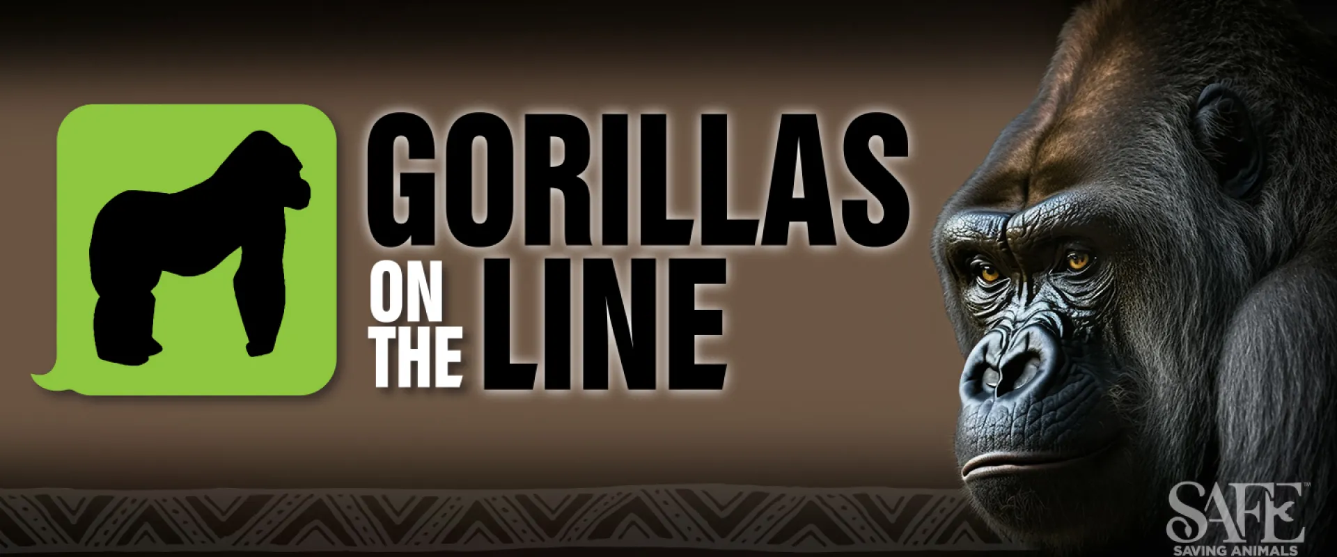 Gorillas on the Line