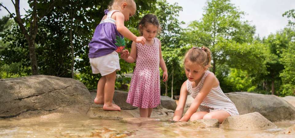 Nature play in a stream