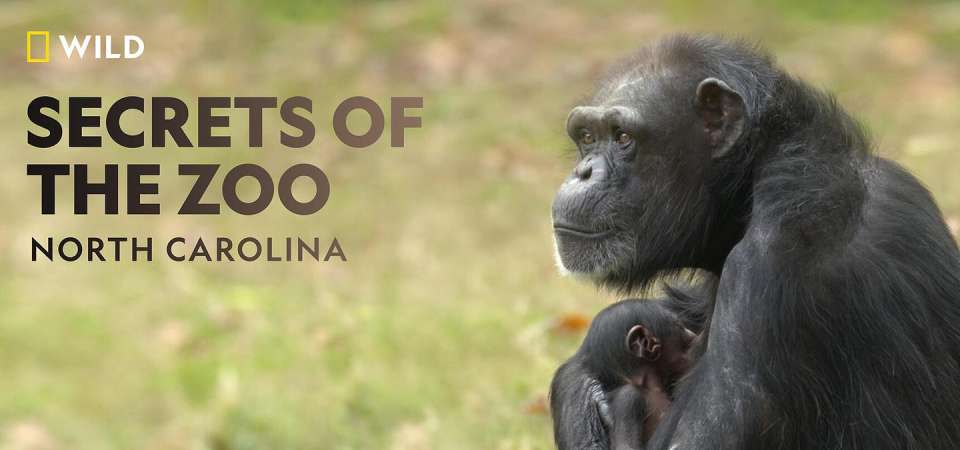 Secrets of the Zoo North Carolina
