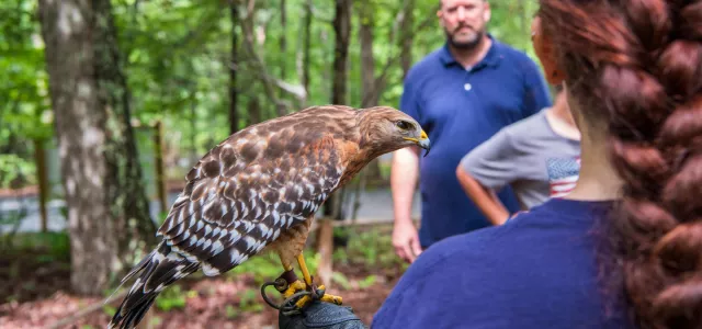 Animal ambassadors at the NC Zoo help keepers educate guests about their species in the wild
