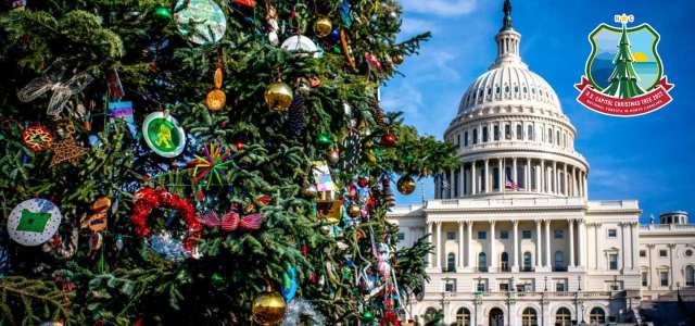 Christmas Tree U.S. Capitol