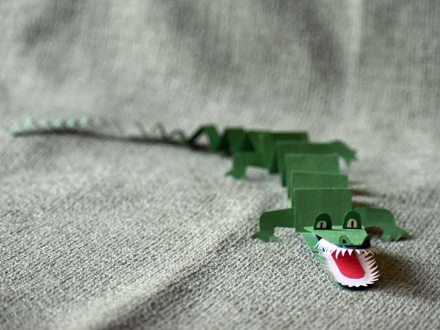 Alligator craft