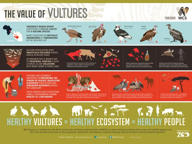 Value of Vultures WCS graphic