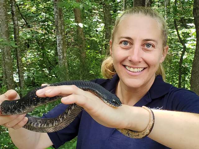Keeper Audrey Williams holding Eastern Hognose Snake