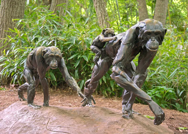 Chimpanzee Troupe Sculptures