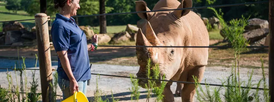 Keeper Tuttle and rhino